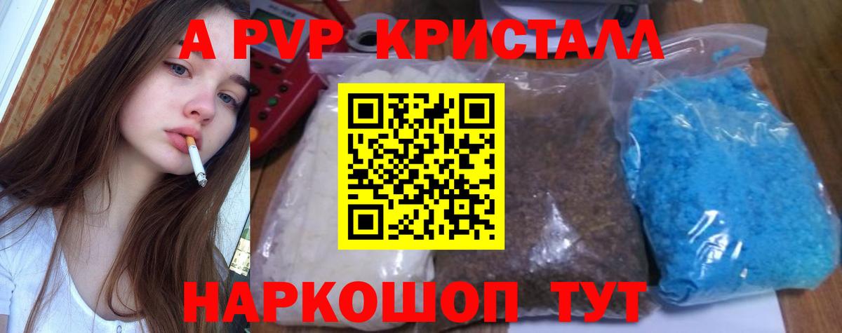 Alfa_PVP СК КРИС Чайковский