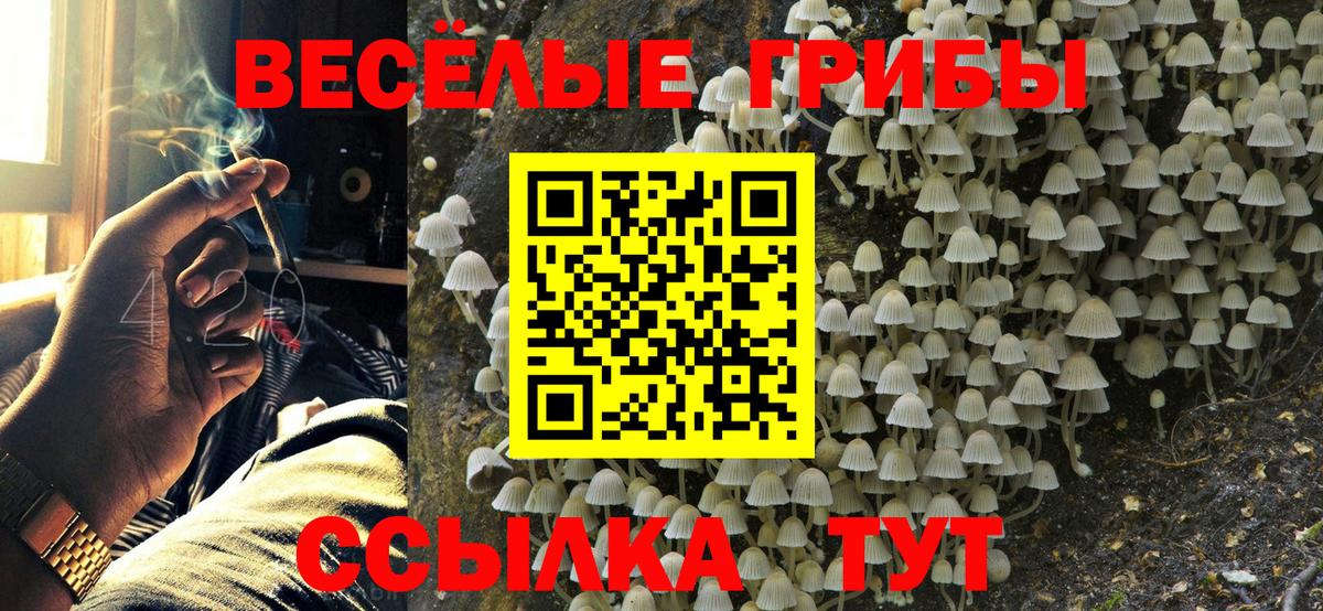 Галлюциногенные грибы Psilocybine cubensis  Вход с VPN  Псилоцибиновые грибы GOLDEN TEACHER  Чайковский 